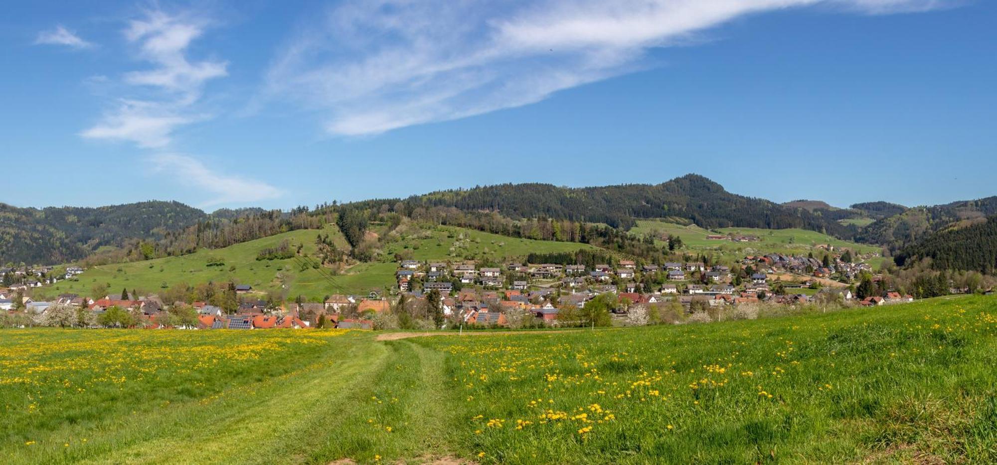 Apartamento Haus Irmgard Zell am Harmersbach Exterior foto